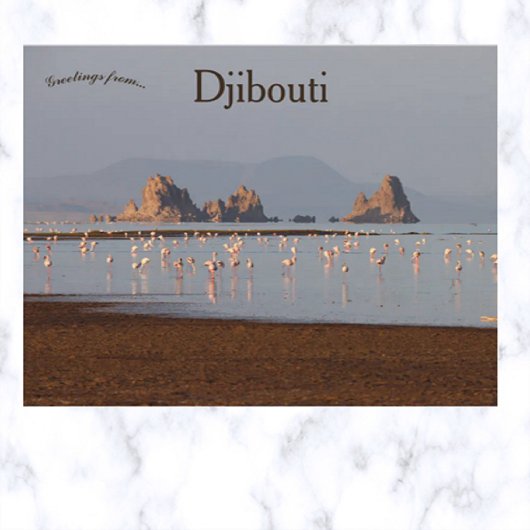 Vogels in Djibouti Briefkaart