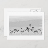 Vogels in het Briefkaart van de vlucht (Voorkant / Achterkant)