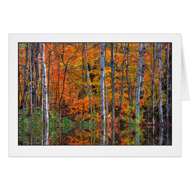 Vogels in het hoogwater (Voorkant Horizontaal)