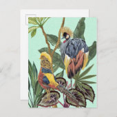Vogels in het paradijs - grote vogels briefkaart (Voorkant / Achterkant)