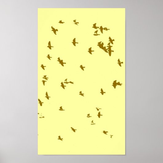 Vogels in het Sky Poster (Voorkant)