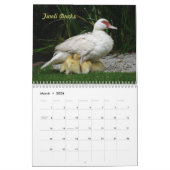 Vogels in het wild kalender (Mar 2026)