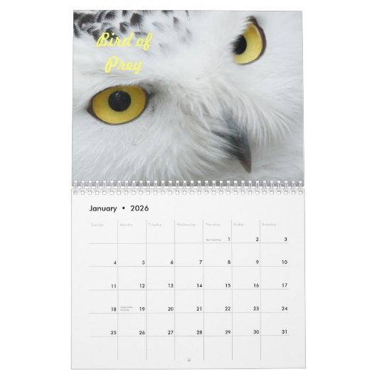 Vogels in het wild kalender (Jan 2026)