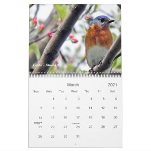 Vogels in je achtertuin kalender