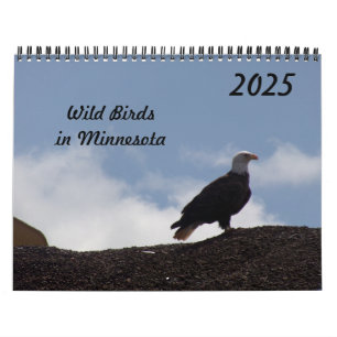 Vogels in Minnesota 2025 Kalender