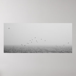 Vogels in mist poster