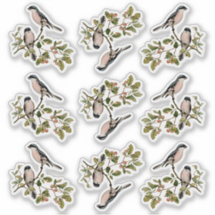   vogels in rode bessen sticker