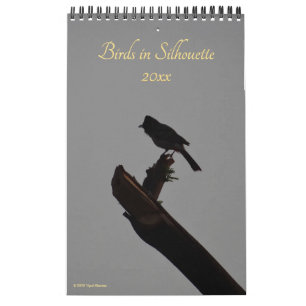 Vogels in Silhouette 2026 Wildlife Natuur Foto Kalender