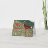 Vogels in Sneeuw Kerstkaart Kaart (Voorkant)