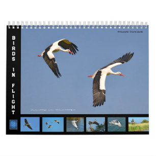Vogels in vlucht 12-maandenkalender kalender