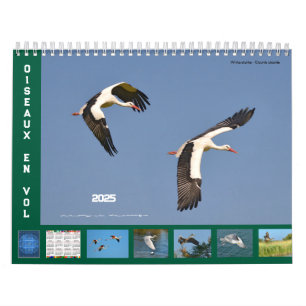 Vogels in vlucht 12-maandenkalender kalender