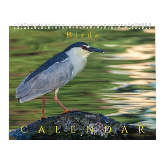 Vogels Kalender (Hoes)