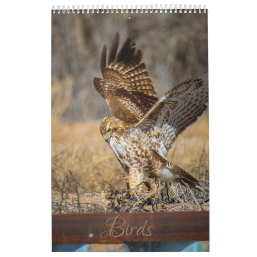 vogels kalender (Hoes)