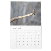 vogels kalender (Jan 2026)
