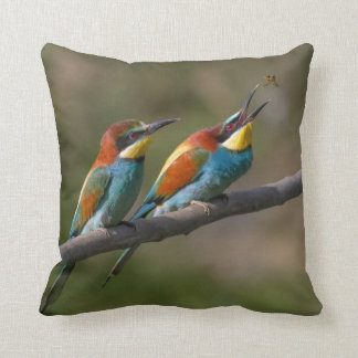 vogels kussen