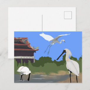 Vogels -- Lepelaars en Reigers Briefkaart