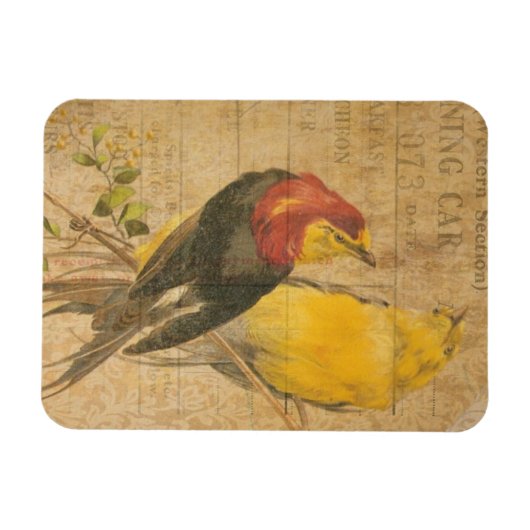  vogels magneet (Horizontaal)