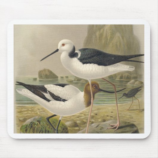 vogels muismat (Voorkant)