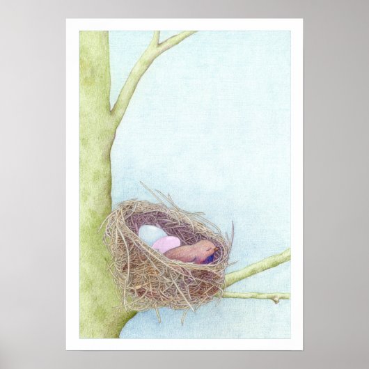 Vogels Nest Poster (Voorkant)