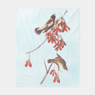 Vogels of Bobolinkvogels van de rijstbundel van Au Fleece Deken