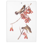 Vogels of Bobolinkvogels van de rijstbundel van Au Klembord (Achterkant)