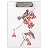 Vogels of Bobolinkvogels van de rijstbundel van Au Klembord (Voorkant)