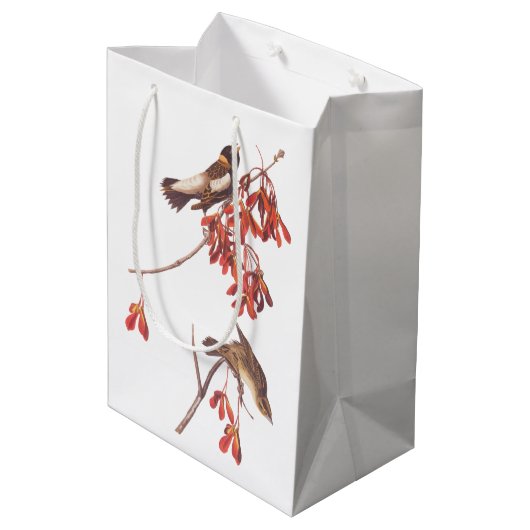 Vogels of Bobolinkvogels van de rijstbundel van Au Medium Cadeauzakje (Achterkant Gekanteld)