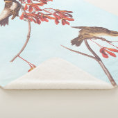 Vogels of Bobolinkvogels van de rijstbundel van Au Sherpa Deken (3/4)