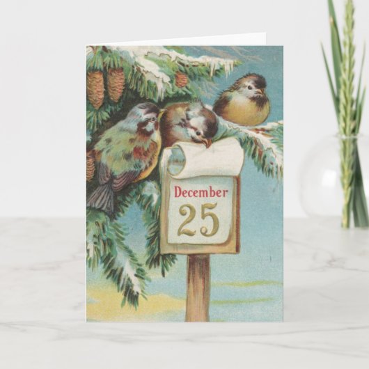 Vogels op 25 december feestdagen kaart (Voorkant)