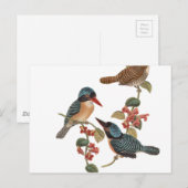 vogels op bijkantoor briefkaart (Voorkant / Achterkant)