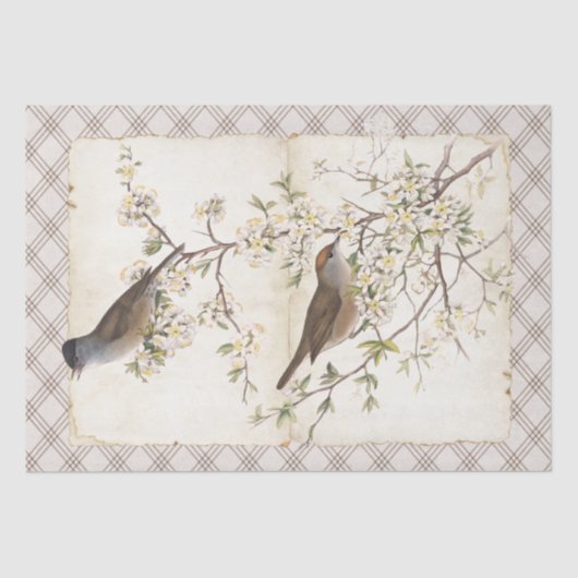 Vogels op bloeiende vertakkingsdiamanten tissuepapier (Voorkant)