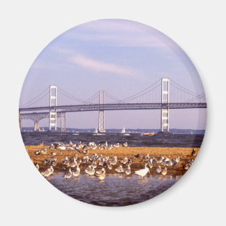 Vogels op Chesapeake Bay Magneet