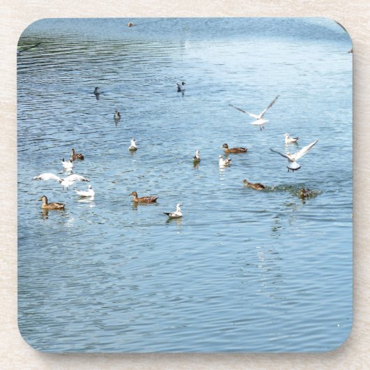 Vogels op de zomerrivier bier onderzetter (Voorkant)
