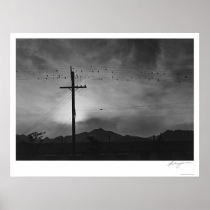 Vogels op draad, Avond 1943 Poster