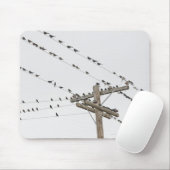 Vogels op draden muismat (Met muis)