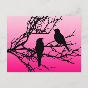 Vogels op een bijkantoor, zwart tegen zonnesroze briefkaart
