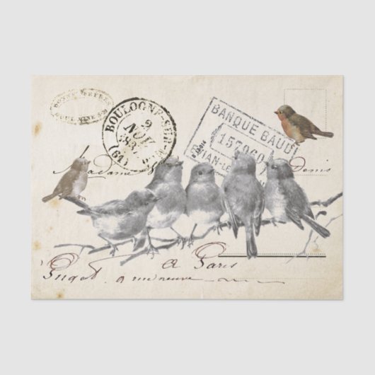 Vogels op een filiaal van het Franse postmerk Coll Tissuepapier (Voorkant)