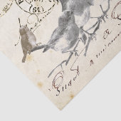 Vogels op een filiaal van het Franse postmerk Coll Tissuepapier (Detail)