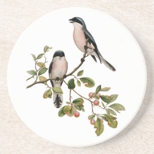 vogels op een filiaal zandsteen onderzetter