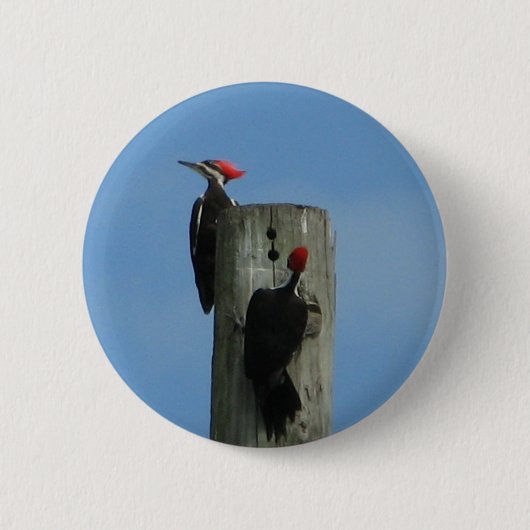 Vogels op een paal ronde button 5,7 cm (Voorkant)