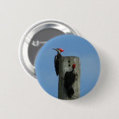 Vogels op een paal ronde button 5,7 cm (Voorkant /achterkant)