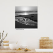 Vogels op een strand, Santa Barbara, 1966 Poster (Keuken)