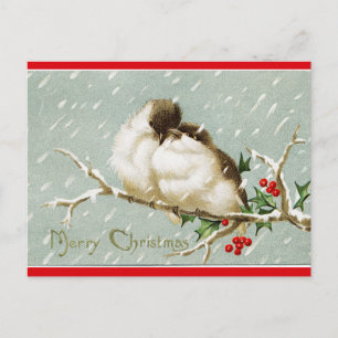 vogels op een tak in de sneeuwkerst briefkaart