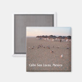 Vogels op het strand in Cabo Magnet Magneet (Voorkant / Achterkant)