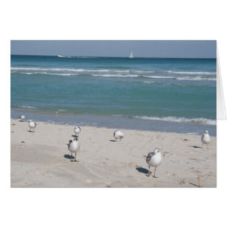 vogels op het strand op zee