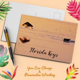 Vogels op Sunset op Ocean Key West Florida Briefkaart
