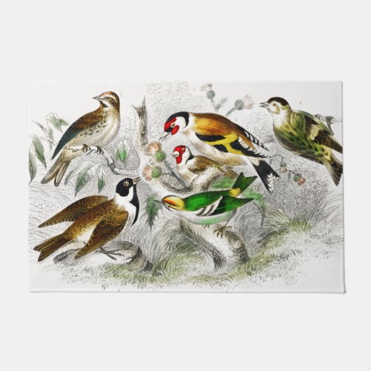  Vogels Oude Illustratie - Animals Art Deurmat (Voorkant)
