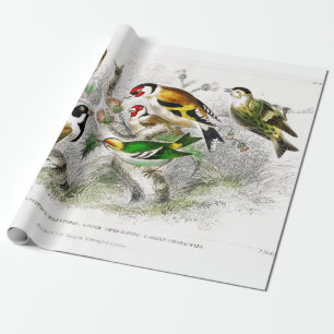  vogels Oude illustratie Kunstdieren Cadeaupapier
