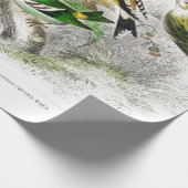  vogels Oude illustratie Kunstdieren Cadeaupapier (Hoek)