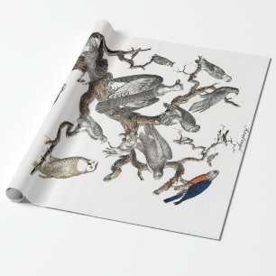  vogels Oude illustratie Kunstdieren Cadeaupapier